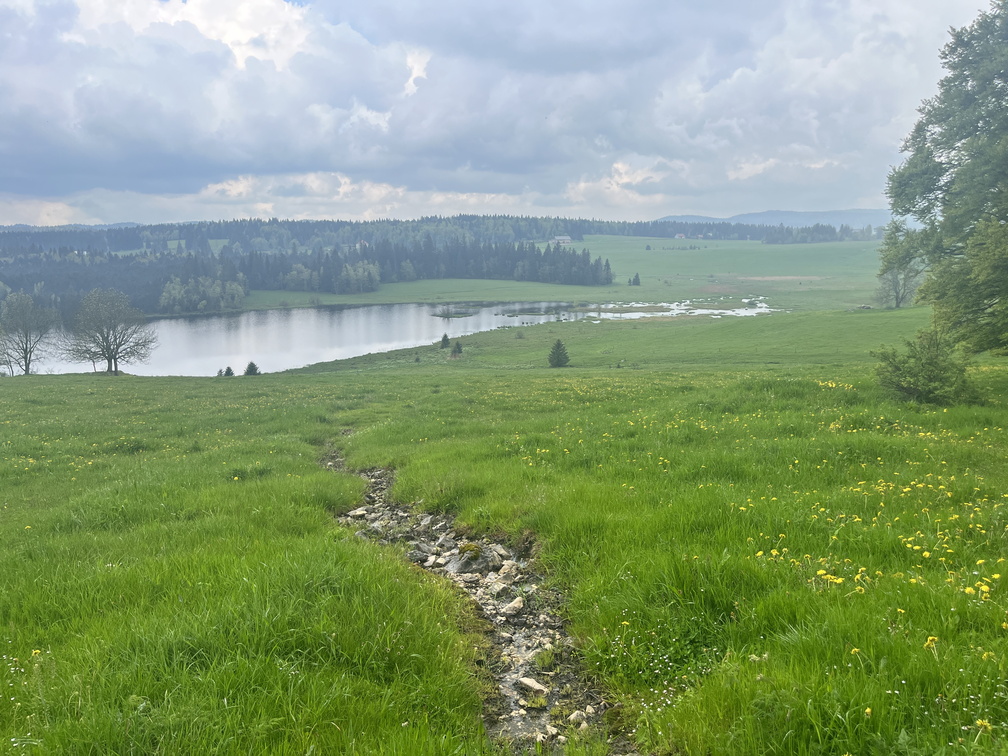 23-05-23 12-48-49 5587